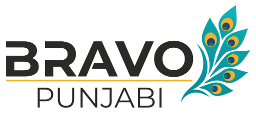 bravo-logo